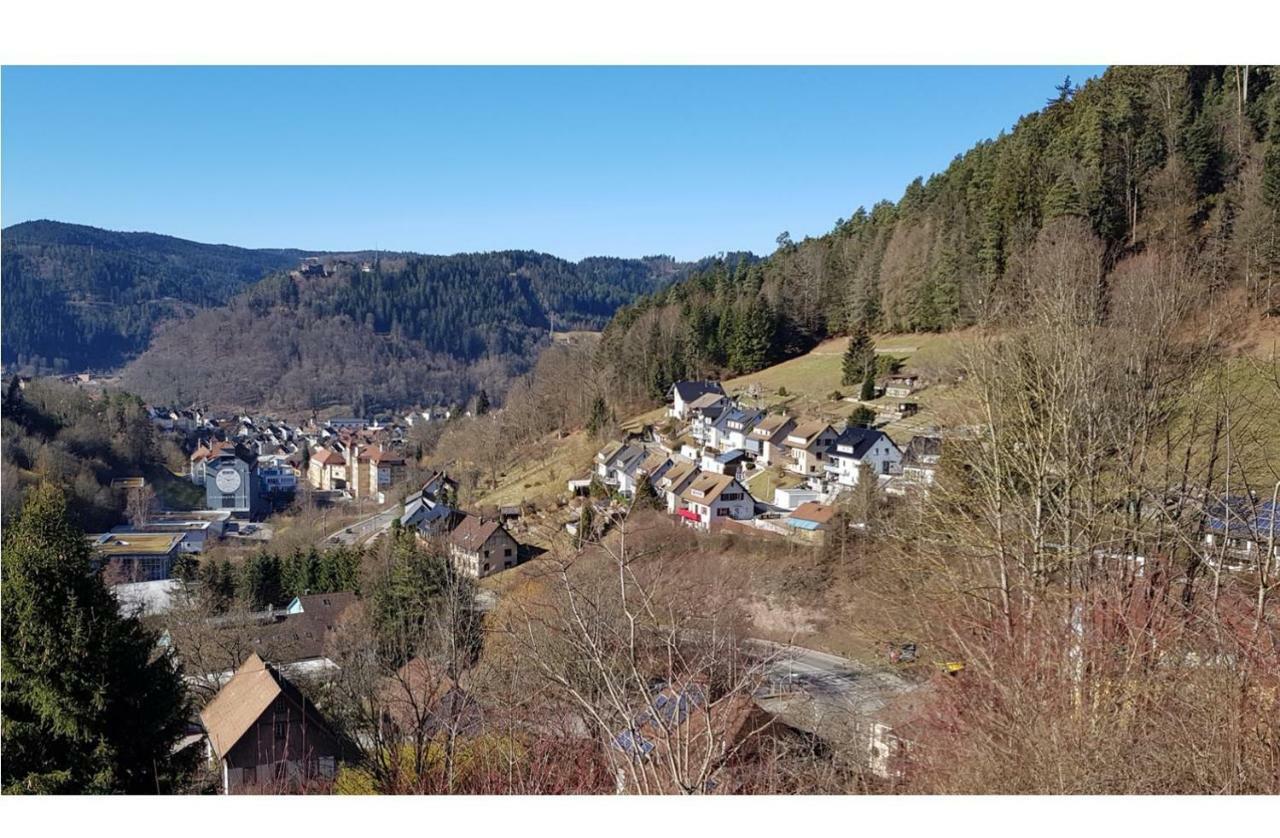 Talstadtblick Schramberg Exterior foto